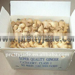 Supply Crystallized Ginger thumbnail-1