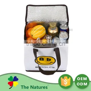 Exceptional Quality Custom Printed Logo Elegant And High End Frozen Food Soft Sided Insulated Cooler Bag thumbnail-1