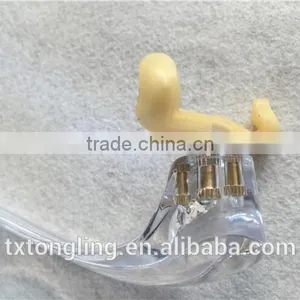 Jiangsu Taixing Violin Shoulder Rest With Different Size thumbnail-5