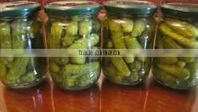 Cucumber thumbnail-1