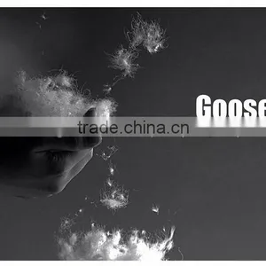 Goose Down Feather Wholesale thumbnail-1