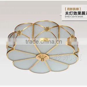 Ceiling Lighting Home Design Ideas New Ideas Overhead thumbnail-3