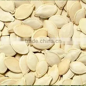 Shine Skin and Snow White Pumpkin Seeds thumbnail-4