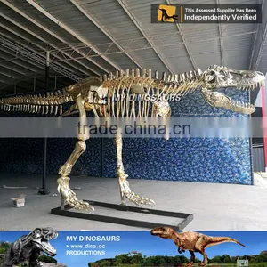 MY Dino-A12 Dinosaur Museum Exhibition Dinosaur Fossil thumbnail-3