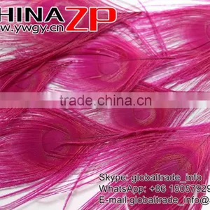 No.1 Supplier ZPDECOR Wholesale Selected Prime Quality Dyed Hot Pink Trimmed Short Peacock Feathers for Decoration thumbnail-4