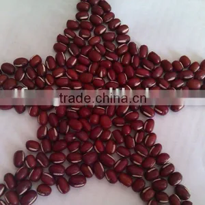 Organic Chinese Adzuki Bean/Small Red Bean( 2010 Crop) Hps thumbnail-1