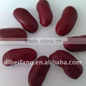 Organic Red Kidney Bean( British Type, Heilongjiang Origin.hps) thumbnail-1
