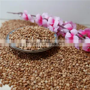 High Quality Sweet Raw Buckwheat Roasted Buckwheat Kernel Price thumbnail-4