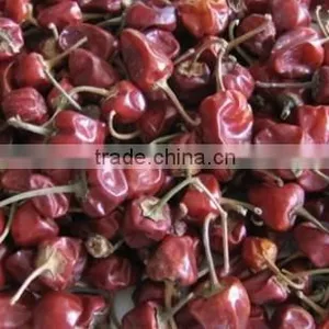 Mundu Red Chilles From Tamilnadu thumbnail-3