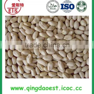 Related Peanut Products, Blached Peanut and Fried Peanut Flavor thumbnail-3