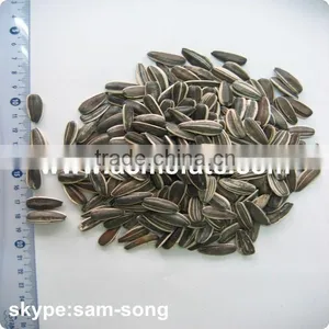 Wholesale Delicious Sunflower Seeds thumbnail-3