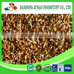 Common Cultivation Iqf Frozen Fresh Nameko Mushroom thumbnail-1