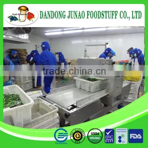 New Season Frozen Spinach Import Frozen Vegetable thumbnail-2