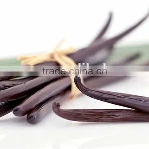 Organic Vanilla Powder Flavor for Ice-cream,juice, Milk and Protein Drinks thumbnail-2