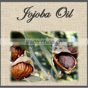 Reasonable Price of Jojoba Oil Unrefined thumbnail-1