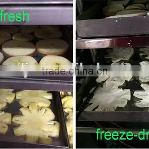 Automatic Fruits and Vegetables Freeze Dryer thumbnail-5