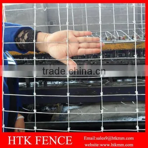 HTK Factory HOT SALE 10cm x 10 cm Small Animal Fence For Chicken thumbnail-1