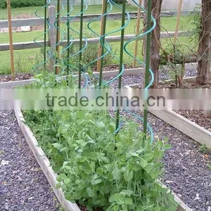 Tomato Spirals Wire thumbnail-1