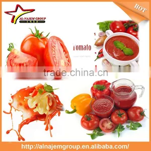 Best Price Tomato Sauce Processing Machine Tomato Paste Making Machine Tomato Paste Making Machine thumbnail-1