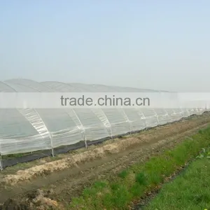 RoughBrothers Tunnel-600 Single Span Low Cost Agricultural Tunnel Greenhouse thumbnail-2