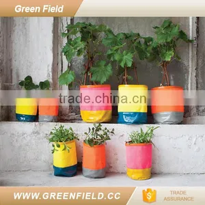 Custom Printing Flower Pot Canvas Fabric Grow Pot thumbnail-3