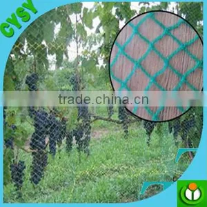 Plastic Mesh Anti Bird Net, Anti Bird Netting ,Anti-Bird Nets thumbnail-3