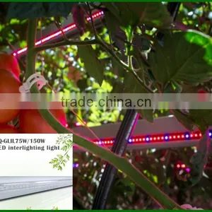 75w Interlighting LED Grow Bar to Replace 100w Hps Grow Light thumbnail-1