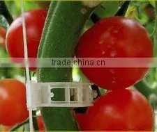 Hot Selling Clips for Tomatoes Plastic Clamps thumbnail-6