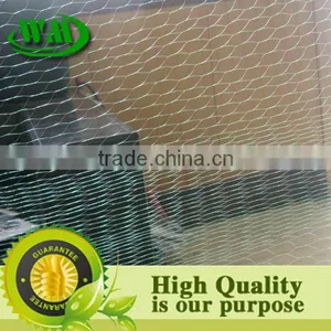 2014 Hot Sale Hdpe Bird Netting for Sale thumbnail-1