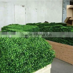 Boxwood Hedge Wall&Fence Factory Indoor/outdoor Use Fake Grass Wall thumbnail-1