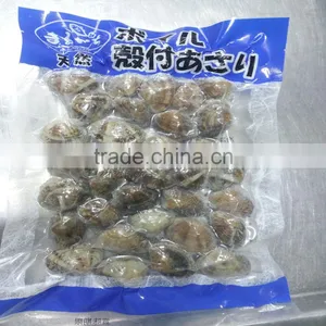 Frozen Boiled Clam Dandong Galicia Seafood Manufacturer thumbnail-2