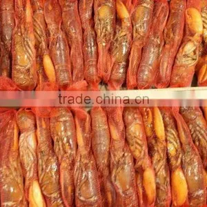 Frozen Cooked /frozen Raw Canadian Lobster thumbnail-5