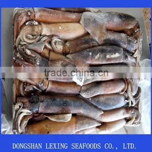 Frozen Illex Squid For Bait thumbnail-1
