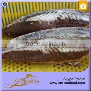 Precooked Mackerel Filet For Canned Mackerel thumbnail-4