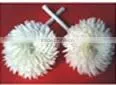 ZINIA Sola Flower Diffuser thumbnail-1
