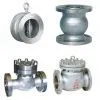 Check Valves thumbnail-1