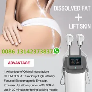 110V 220V Available Teslasculpt Uses the Latest High-intensity Electromagnetic Technology Induce Supramaximal Muscle thumbnail-2