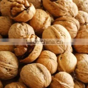 Wholesale Natural Walnut Unshelled, Walnut In Shell Sale thumbnail-1