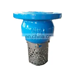 DN150 PN16 GGG50 Ductile Iron Foot Valve With Stainless Steel Strainer thumbnail-3