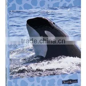 a4 2 Hole o Ring Binder File Folder thumbnail-1