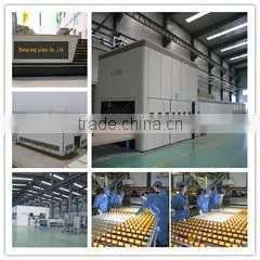 Shenzhen Chenglong Glass Co., Ltd. company overview - view 2 thumbnail