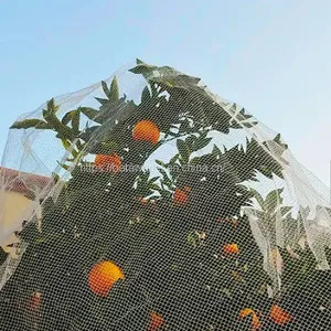 Agriculture Garden Protection Net Mesh High Strength HDPE Warp Knitted Green Bird Netting thumbnail-2