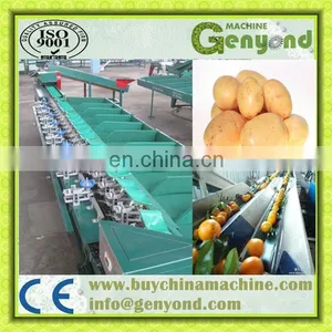 Sorting Grading Machine of Fruits and Vegetables thumbnail-5