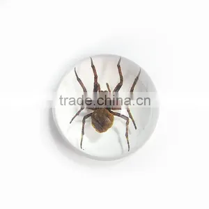Promotional Gifts 64mm Semicircle Acrylic Home Decoration thumbnail-6
