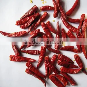 China New Crops,dry Hot Red Chaotian Tianying Tianjin Chilli thumbnail-5