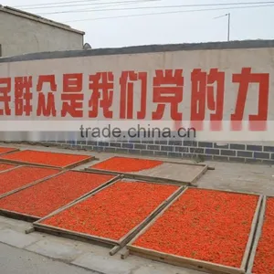 Manufacture Goji Berry, Bulk Goji Berry Price thumbnail-3