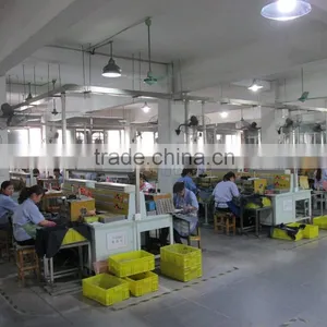 Haining Yongli Electronic Ceramics Co., Ltd. company overview - view 4 thumbnail