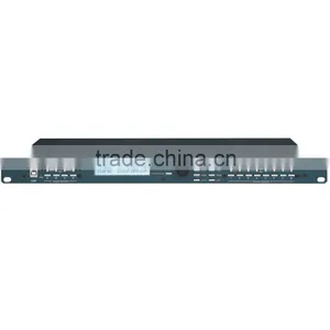4.8 SP Digital Speaker Processor thumbnail-1