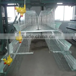 Broiler Battery Cage With Automatic Feeding and Manure Removal Equipments (professional Manufacture) thumbnail-1