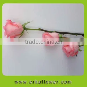 Newest White Fresh Cut Rose Flower thumbnail-5